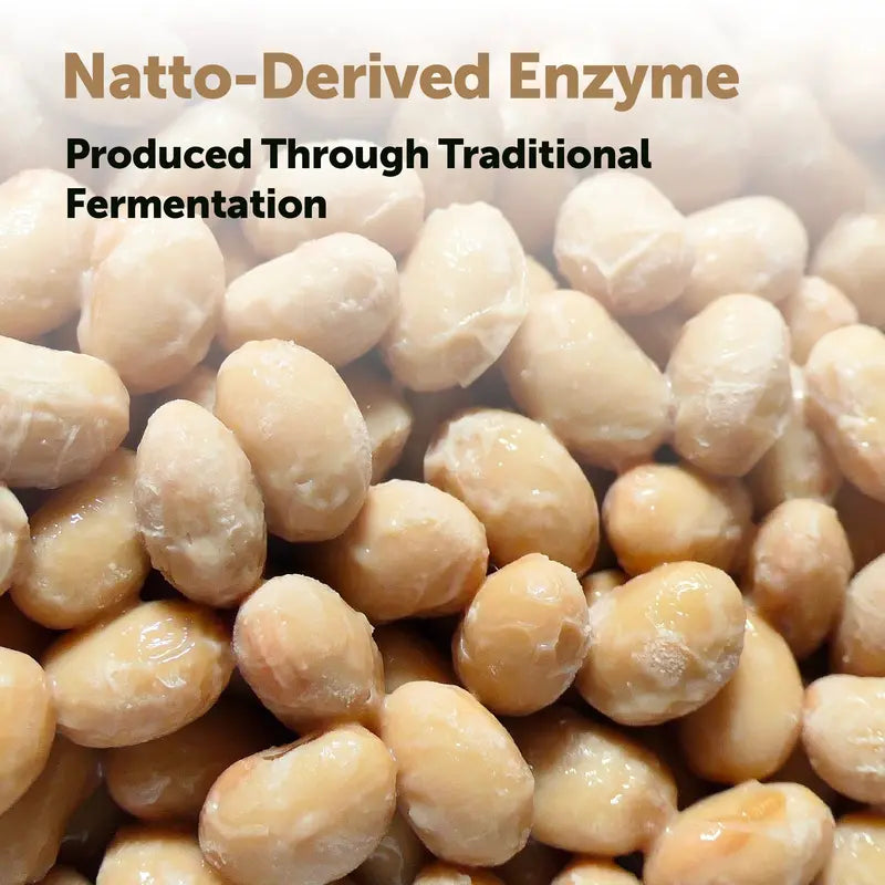 Nattokinase 10,000 FU — Clinical-Dose Cardiovascular Support